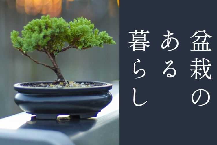 スイーツハンター